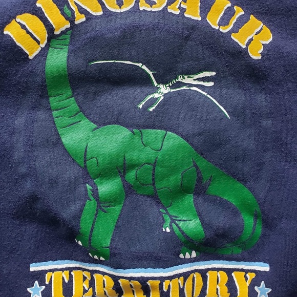 Dinosaur territory sweatshirt - Picture 2 of 4